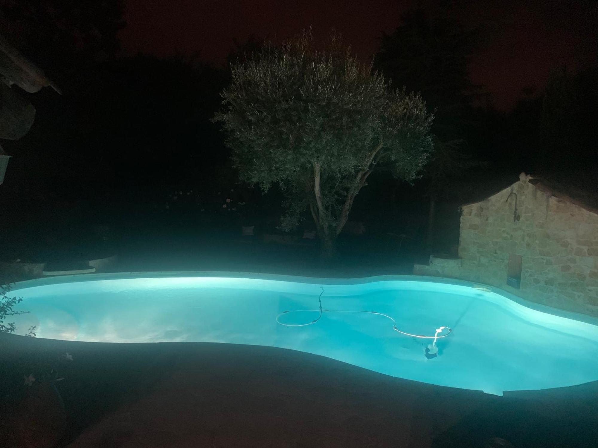 Studio Oustaou Acces Piscine Marseille Eksteriør billede