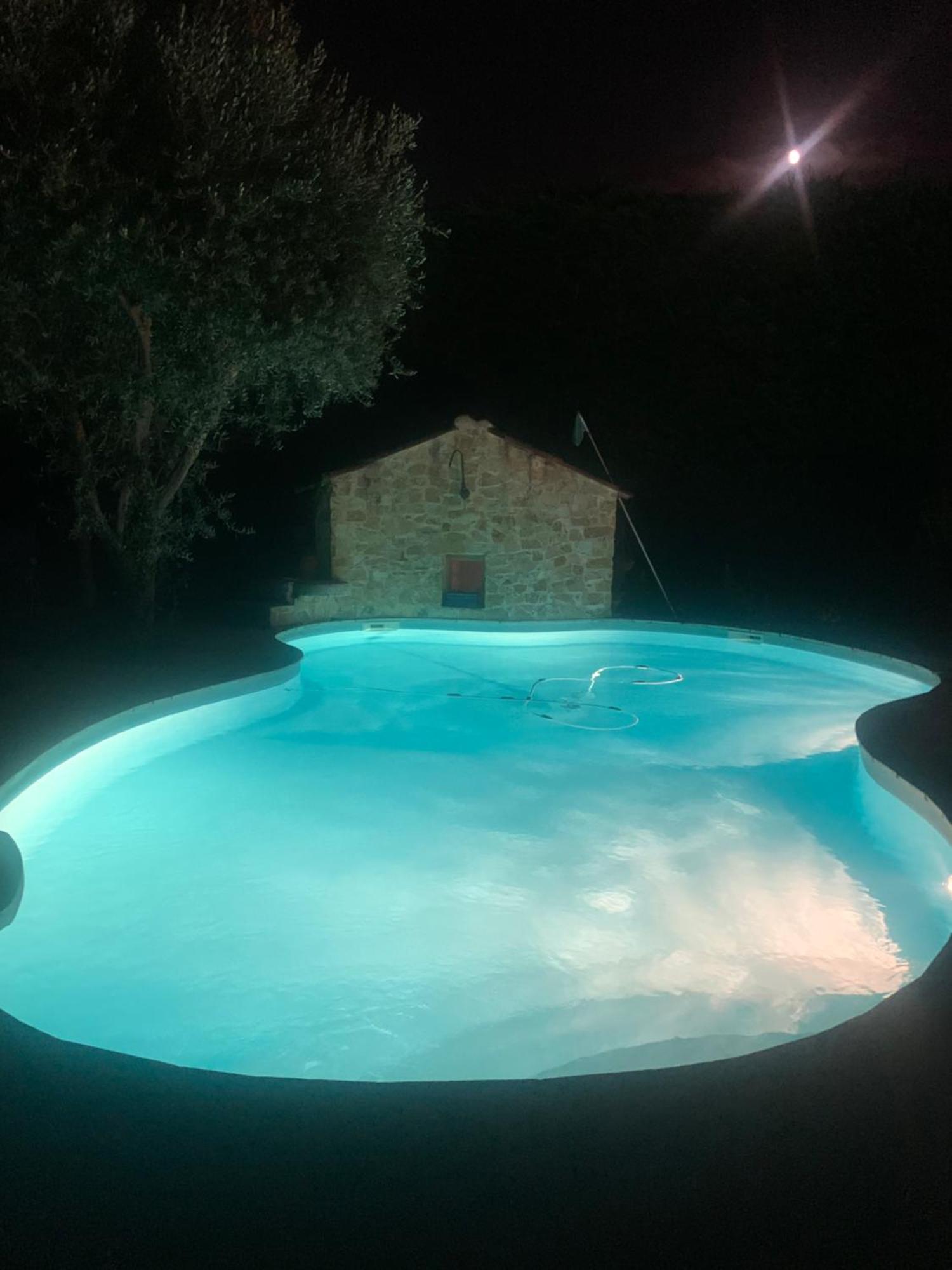 Studio Oustaou Acces Piscine Marseille Eksteriør billede